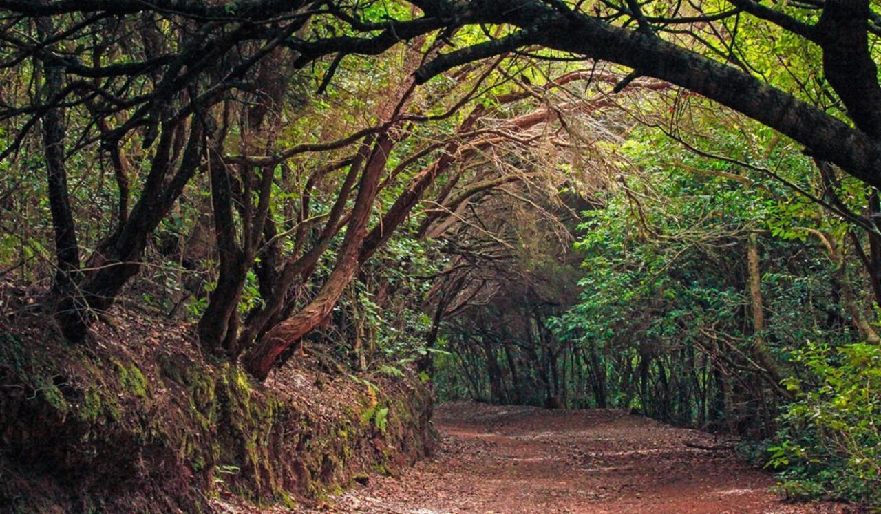 Almendro Villa Arico Viejo Kültér fotó
